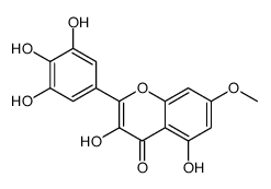 EUROPETIN Structure