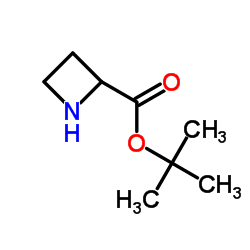 tert-Butyl azetidine-2-carboxylate Structure