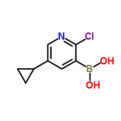 2-Chloro-5-cyclopropylpyridine-3-boronic acid结构式