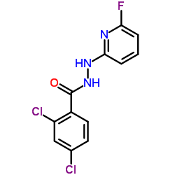 2,4-Dichloro-N'-(6-fluoro-2-pyridinyl)benzohydrazide Structure