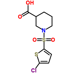 1-[(5-CHLOROTHIEN-2-YL)SULFONYL]PIPERIDINE-3-CARBOXYLIC ACID picture