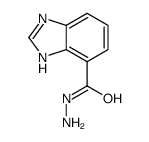 1H-benzimidazole-4-carbohydrazide Structure