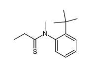 N-(2-tert-butylphenyl)-N-methylpropanethioamide Structure