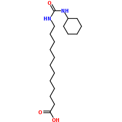 CUDA Structure