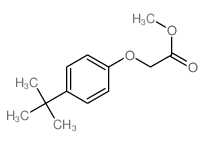 88530-52-3结构式