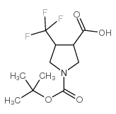 [4-(三氟甲基)吡咯烷]-1,3-二羧酸1-叔丁酯结构式