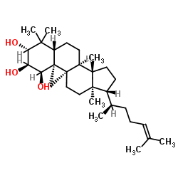 (1α,2α,3β,9β)-9,19-Cyclolanost-24-ene-1,2,3-triol Structure