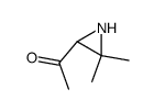 Ethanone, 1-(3,3-dimethyl-2-aziridinyl)- (9CI) Structure