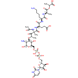 Udp-N-acetylmuramyl-ala-glu-lys-ala-lactate结构式