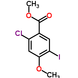 195055-02-8 structure