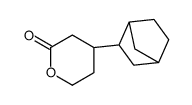 4-(3-bicyclo[2.2.1]heptanyl)oxan-2-one Structure