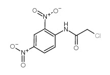 Acetamide,2-chloro-N-(2,4-dinitrophenyl)- Structure