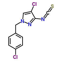 4-CHLORO-1-(4-CHLORO-BENZYL)-3-ISOTHIOCYANATO-1H-PYRAZOLE结构式