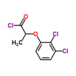 2-(2,3-Dichlorophenoxy)propanoyl chloride图片