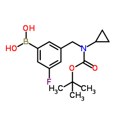 1704063-72-8 structure