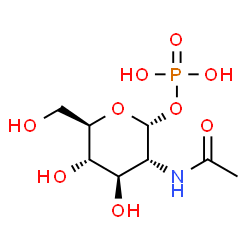 poly(N-acetylglucosamine 1-phosphate)结构式