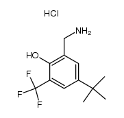 2-aminomethyl-4-tertbutyl-6-trifluoromethylphenol hydrochloride Structure