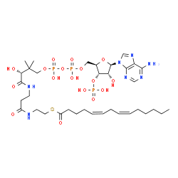 5-cis-8-cis-Tetradecadienoyl-CoA结构式