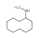 N-Cyclodecylmethylamine Structure
