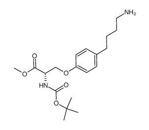 876131-14-5 structure
