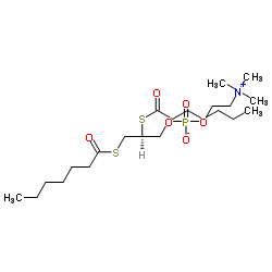 1,2-双(庚酰硫基)甘油胆碱磷酸图片