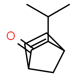 Bicyclo[2.2.1]hept-5-en-2-one, 3-(1-methylethyl)-, endo- (9CI) structure