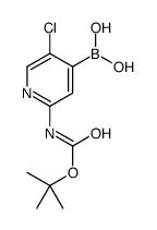 2-(叔丁氧基羰基氨基)-5-氯吡啶-4-基硼酸结构式