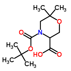 6,6-Dimethyl-4-{[(2-methyl-2-propanyl)oxy]carbonyl}-3-morpholinec arboxylic acid结构式