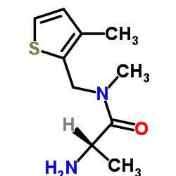 N-Methyl-N-[(3-methyl-2-thienyl)methyl]alaninamide Structure