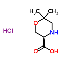 (3R)-6,6-Dimethyl-3-morpholinecarboxylic acid hydrochloride (1:1) picture