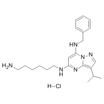 BS 181 盐酸盐结构式