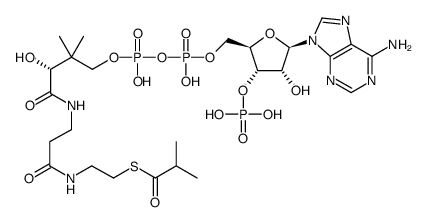 isobutyryl-CoA Structure