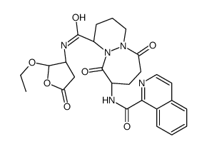 Pralnacasan picture