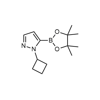 1-环丁基-5-(4,4,5,5-四甲基-1,3,2-二氧杂硼杂环戊烷-2-基)-1H-吡唑结构式