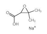 3,3-dimethyloxirane-2-carboxylic acid结构式