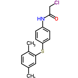 2-CHLORO-N-[4-[(2,5-DIMETHYLPHENYL)THIO]PHENYL]ACETAMIDE picture