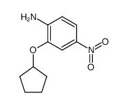 2-cyclopentyloxy-4-nitroaniline Structure