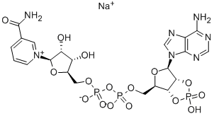 100929-77-9 structure