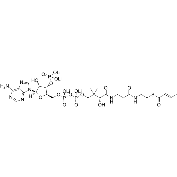 2-Butenoyl coenzyme A lithium structure