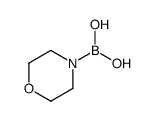 morpholin-4-ylboronic acid Structure