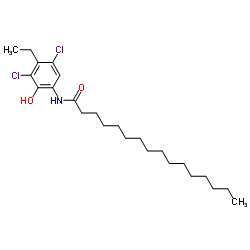 117827-06-2 structure