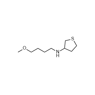 N-(4-甲氧基丁基)四氢噻吩-3-胺结构式