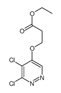 ethyl 3-(5,6-dichloropyridazin-4-yl)oxypropanoate Structure