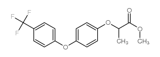 methyl 2-[p-[p-(trifluoromethyl)phenoxy]phenoxy]propionate picture