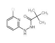 N-(6-chloropyridin-2-yl)-2,2-dimethyl-propanehydrazide picture