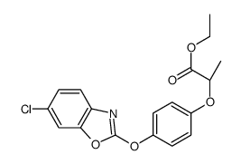 (2S)-(+)-2-[4-(6-氯苯并恶唑-2-基氧基)苯氧基]丙酸乙酯图片