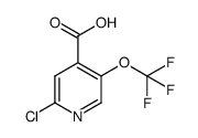 2-chloro-5-(trifluoromethoxy)isonicotinic acid structure