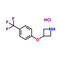 1236862-38-6 structure