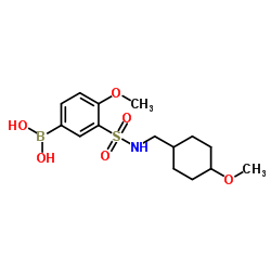 (4-Methoxy-3-(N-((4-Methoxycyclohexyl)Methyl)sulfamoyl)phenyl)boronic acid Structure