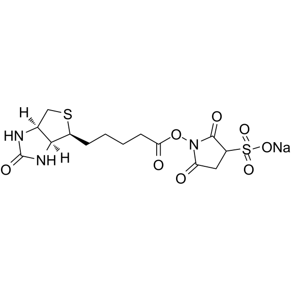 194041-65-1 structure